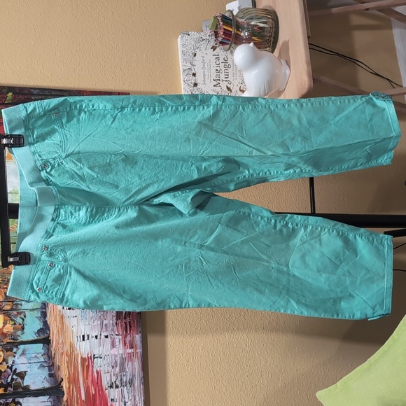 hearts of palm Pants & Jumpsuits Hearts Of Palm Aqua Pants 8w Nwt